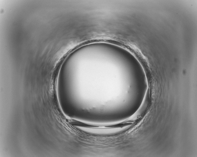 X0000087061167200704251022