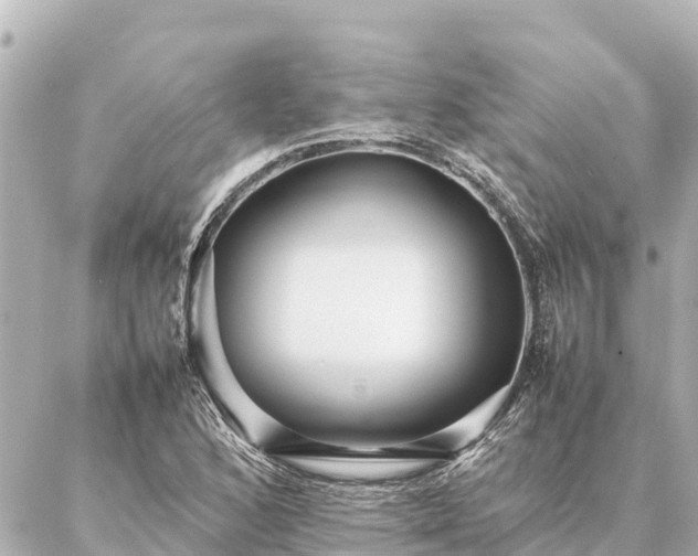 X0000087061168200704251022