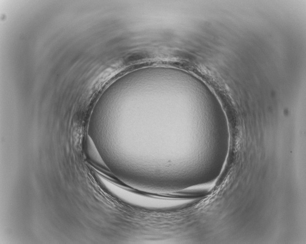 X0000087061169200704251022