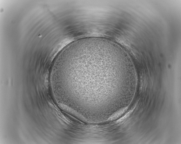 X0000087061170200704251022