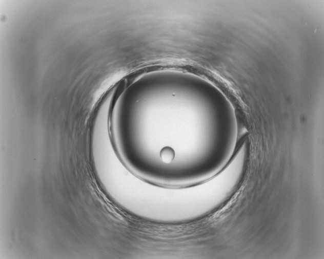 X0000087061171200704251022