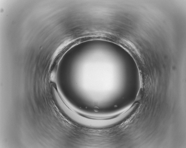 X0000087061172200704251022