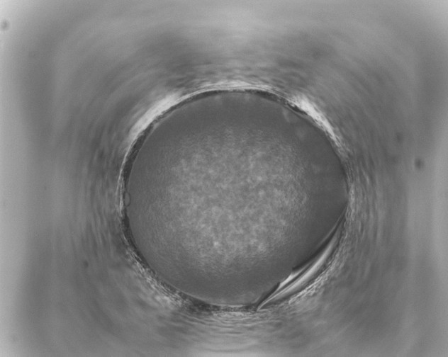 X0000087061173200704251022