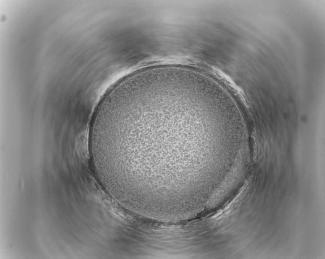 X0000087061174200704251022