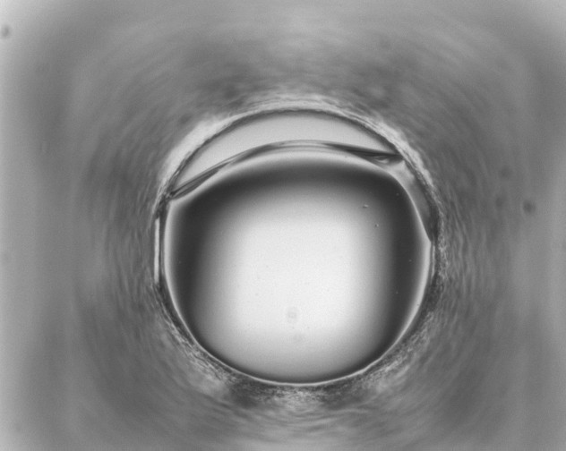 X0000087061175200704251022