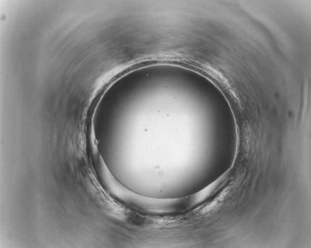 X0000087061176200704251022