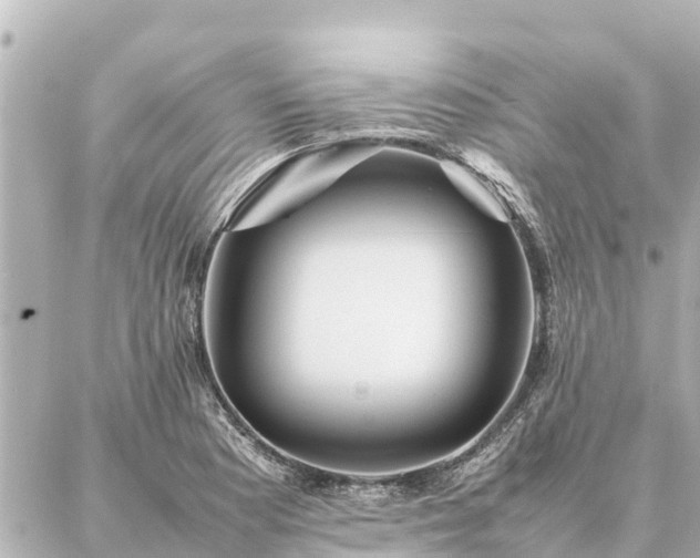 X0000087061177200704251021