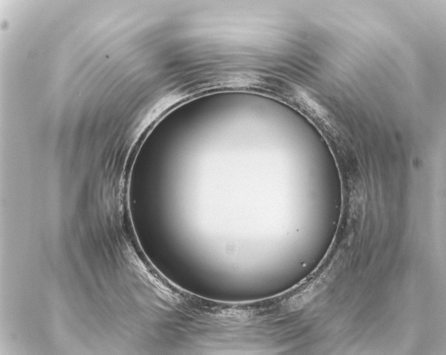 X0000087061178200704251021