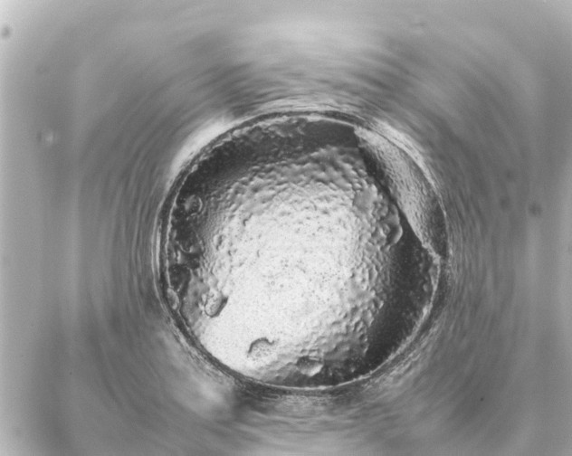 X0000087061179200704251021