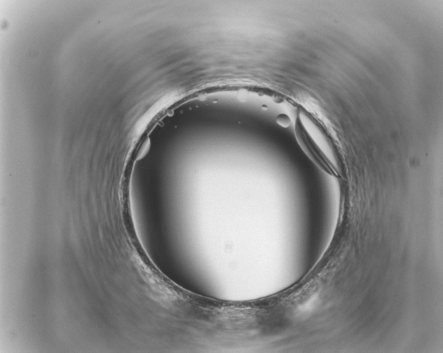 X0000087061181200704251021