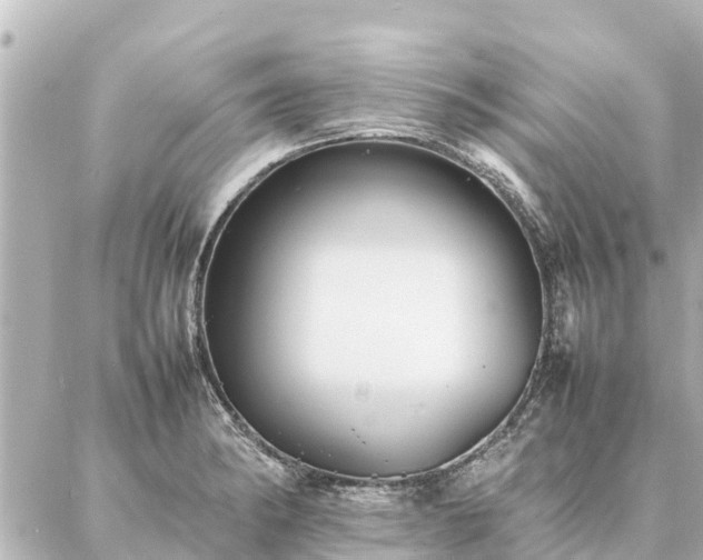 X0000087061182200704251021