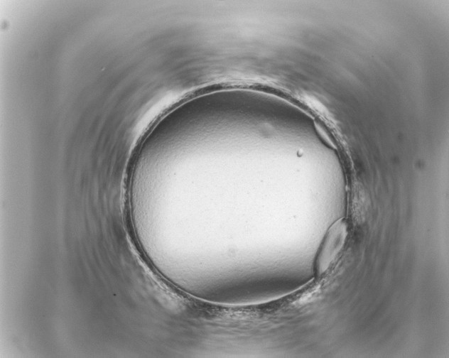 X0000087061183200704251021