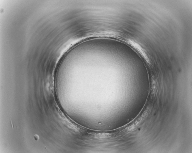 X0000087061184200704251021