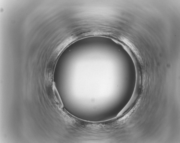 X0000087061185200704251021