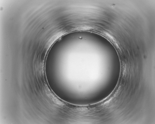 X0000087061186200704251021