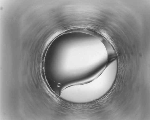 X0000087061187200704251021