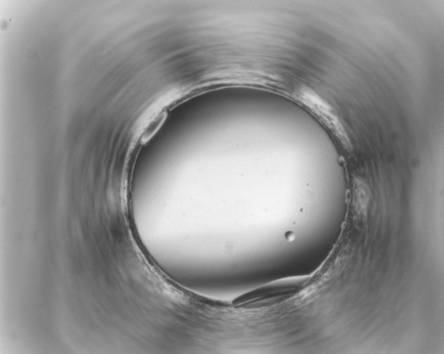 X0000087061188200704251021