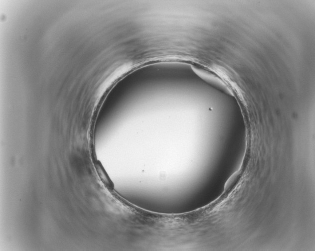 X0000087061189200704251021