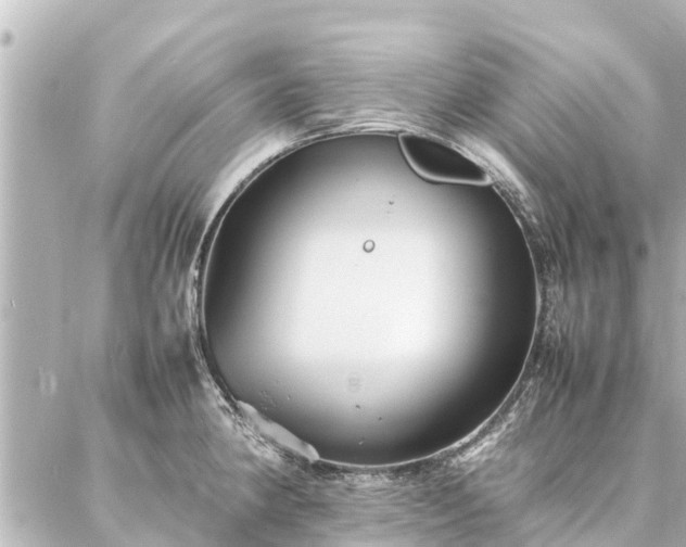 X0000087061190200704251021