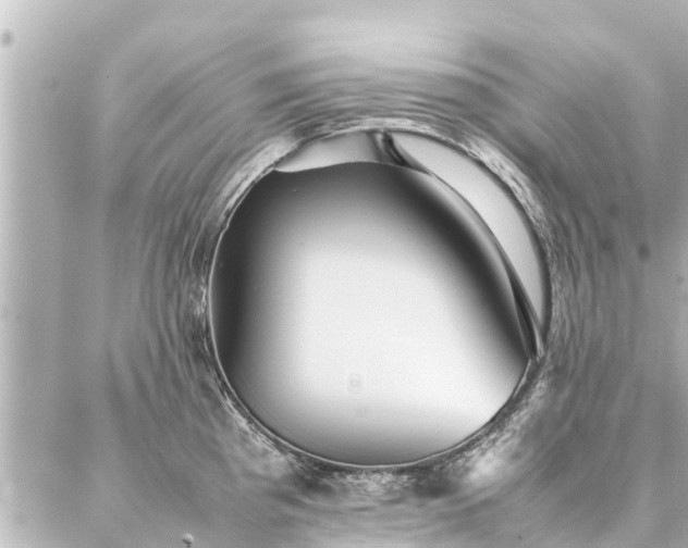 X0000087061193200704251021