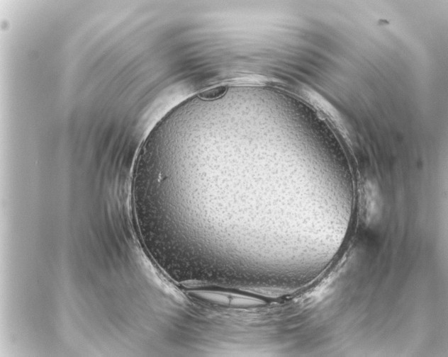 X0000087061194200704251021