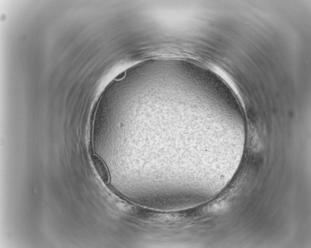 X0000087061195200704251021