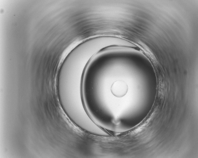 X0000087061196200704251021