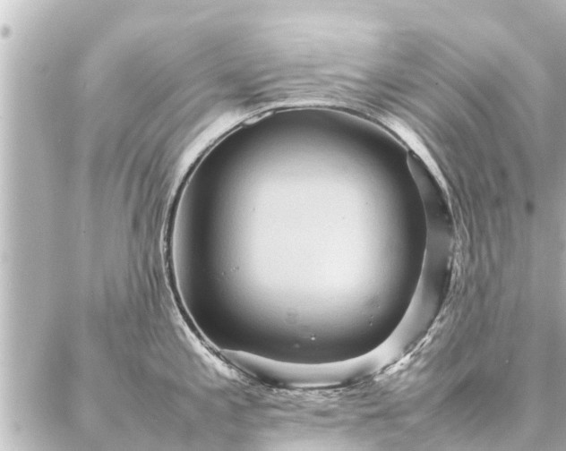 X0000087061197200704251021