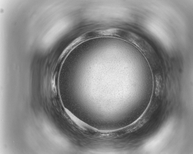 X0000087061198200704251021