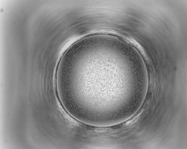 X0000087061199200704251021