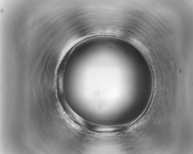 X0000087061200200704251021