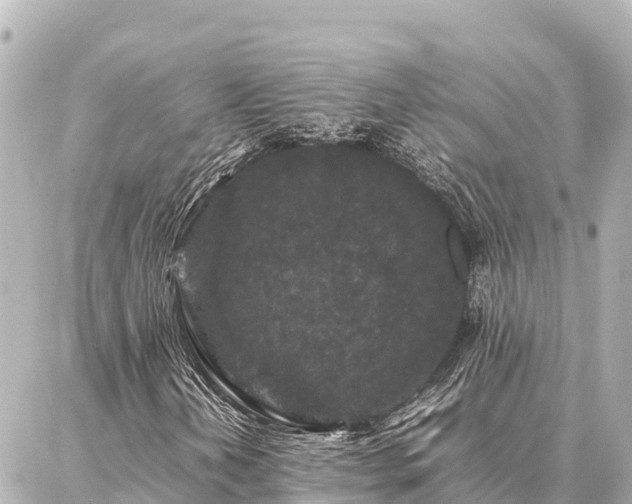 X0000087061202200704251020