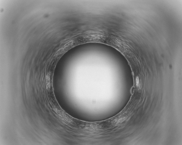 X0000087061203200704251020