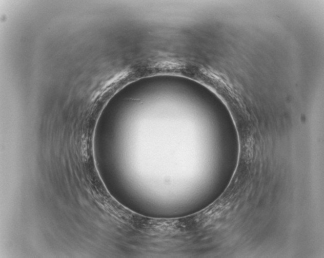 X0000087061205200704251020