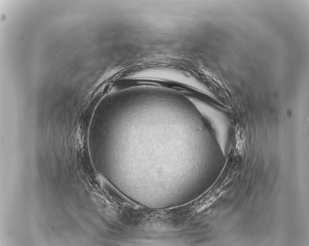 X0000087061206200704251020