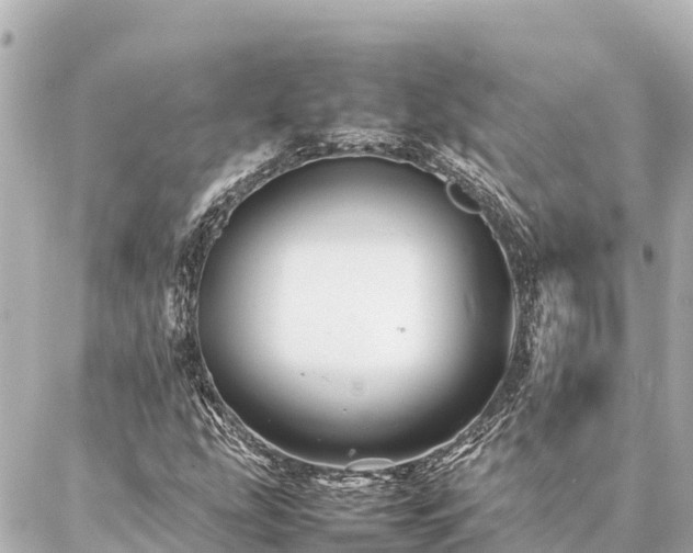 X0000087061207200704251020