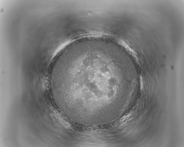 X0000087061208200704251020