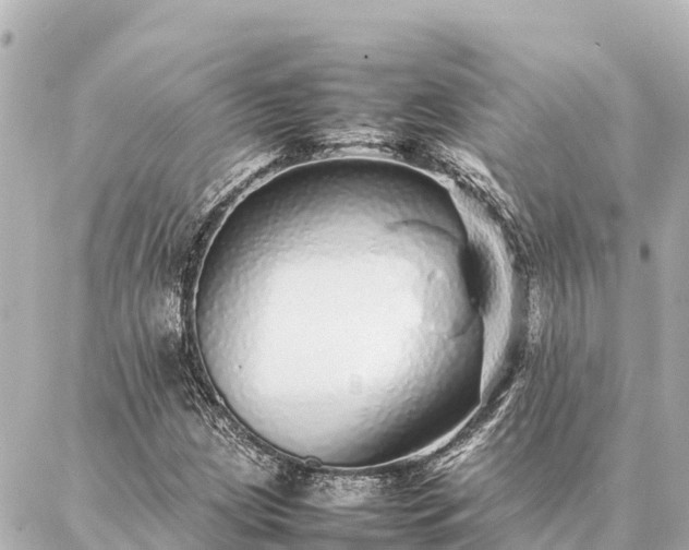 X0000087061209200704251020