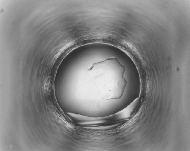 X0000087061210200704251020