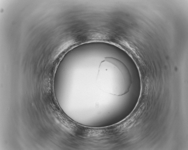 X0000087061211200704251021