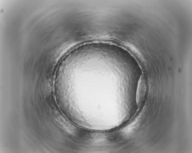 X0000087061212200704251021