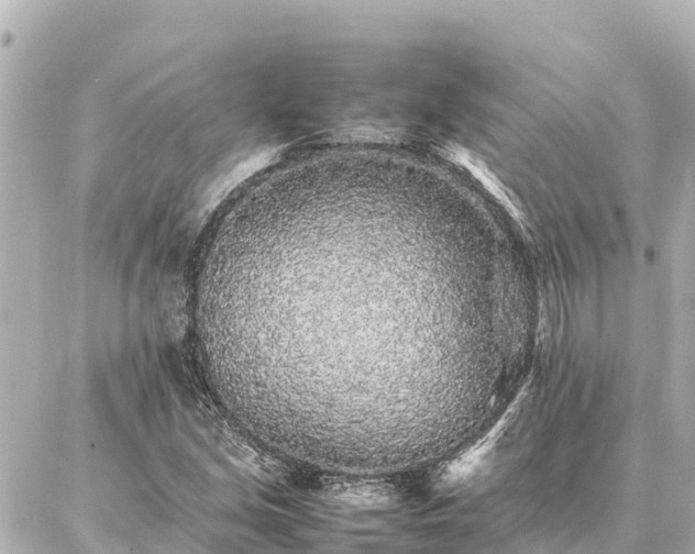 X0000087061213200704251021