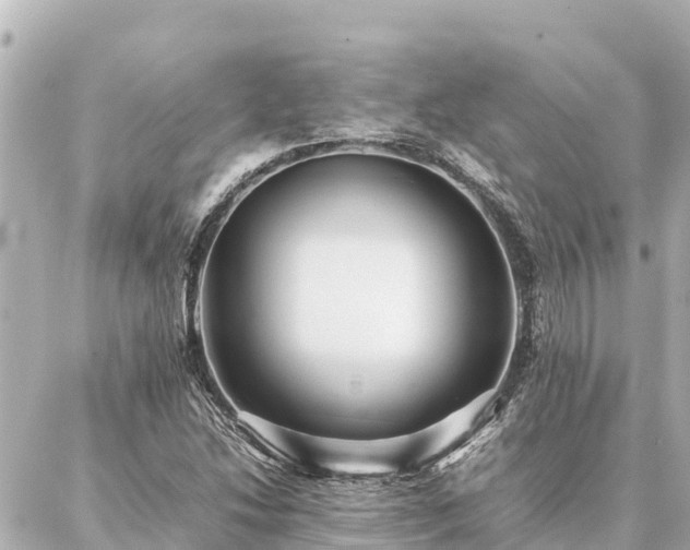 X0000087061214200704251021