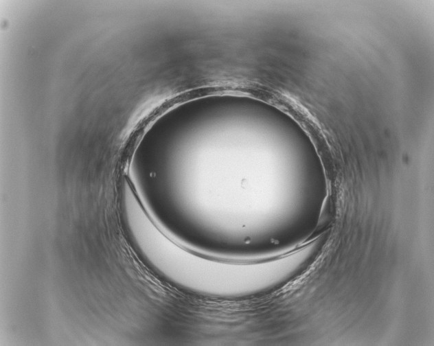 X0000087061215200704251021