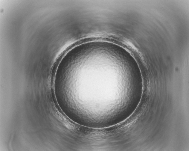 X0000087061216200704251021