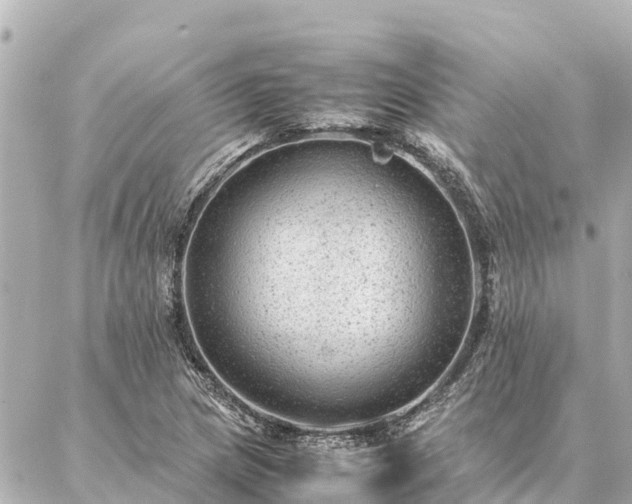 X0000087061217200704251021