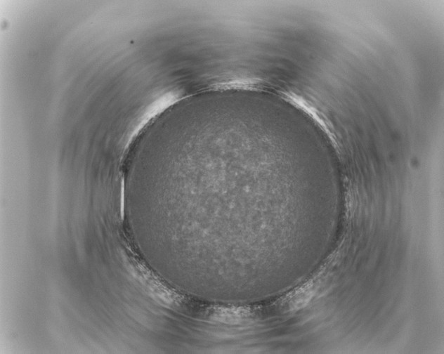 X0000087061219200704251021