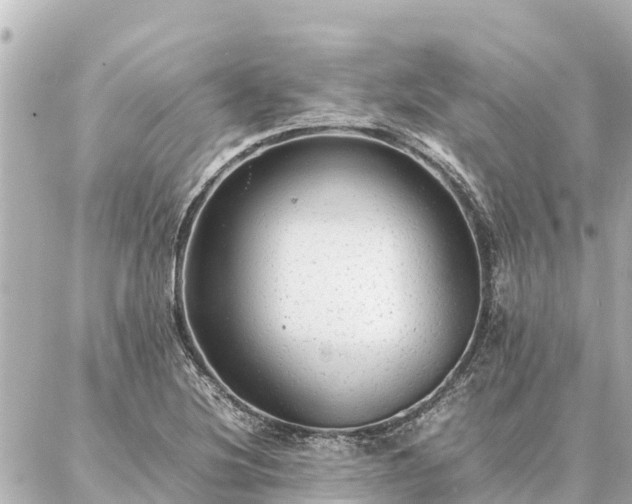 X0000087061220200704251021