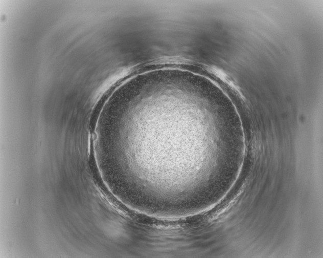 X0000087061221200704251021