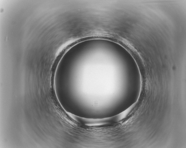 X0000087061222200704251021